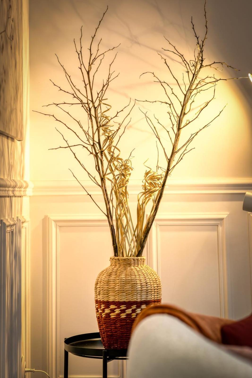 Rose Ecrin De Charme Avec Parking Terrasse Privee Et Jardin Partage Διαμέρισμα Grand-Couronne Εξωτερικό φωτογραφία